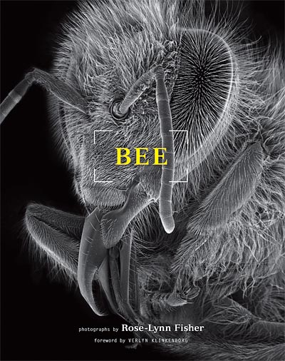 bee photo rose-lynn fisher