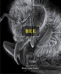 bee by rose-lynn fisher